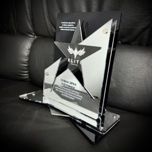 Приз Нагорода Срібна Зірка Підтримки 10100934 висота: 25 см