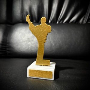 Приз Награда Каратэ из металла 101009 высота: 10 см