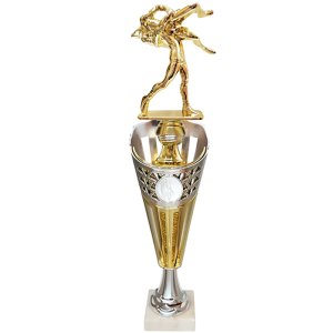 Кубок Борьба Высота - 40 см