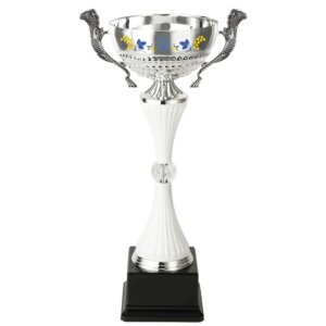 Кубок Переможців України Висота - 43,5 см