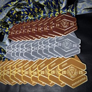 Медаль Акрил Львы Николаева Диаметр 70-100 мм