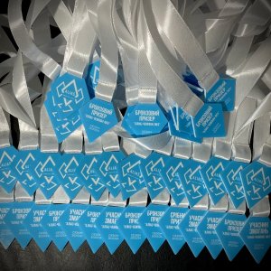 Медаль Акрил Аліас Чемпіон Діаметр 70-100 мм