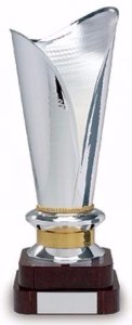 Кубок Висота - 78см
